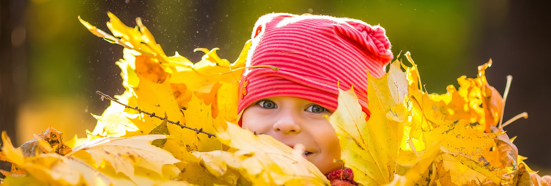 Herzlich Willkommen bei der Kinderwelt